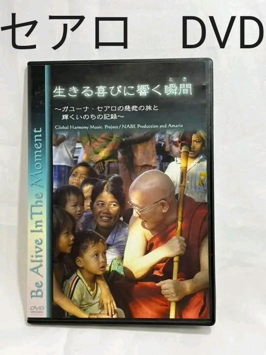 セアロ　DVD　生きる喜びに響く瞬間　陽月院　ミャンマー　人道支援　悟り　仏教