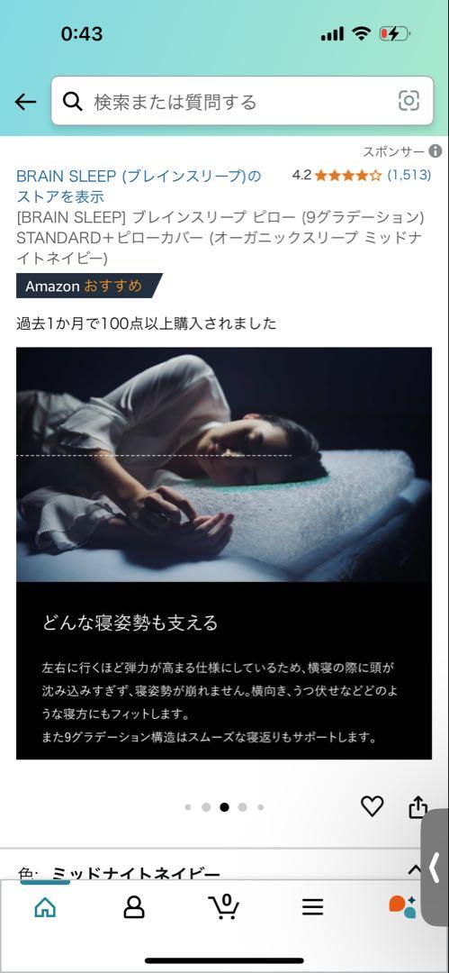 BRAIN SLEEP ブレインスリープ ピロー スタンダードサイズ
