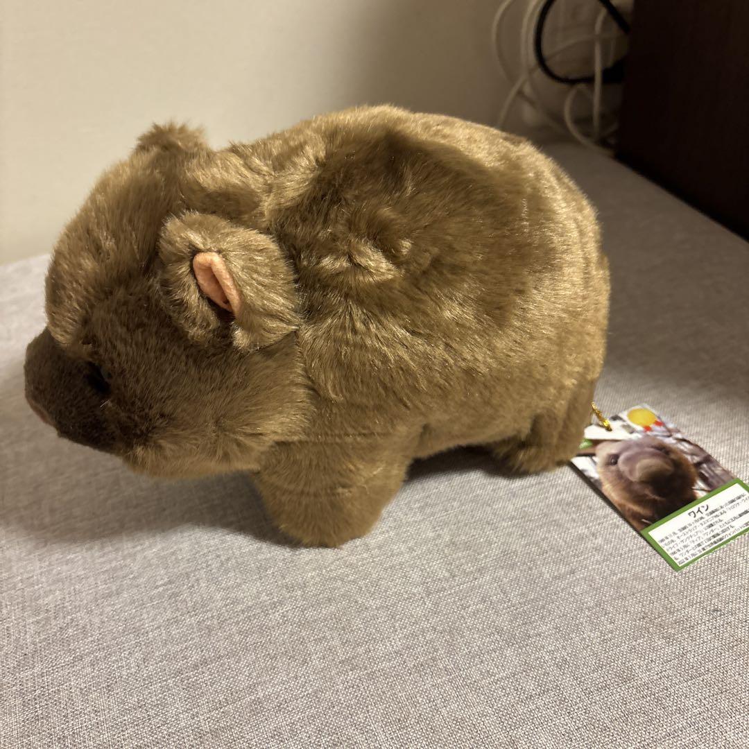 五月山動物園　ウォンバットオリジナルグッズ