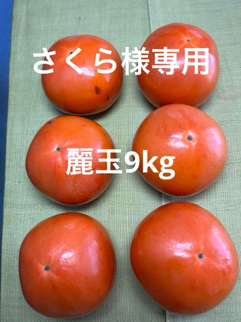 甘柿　麗玉　9kg