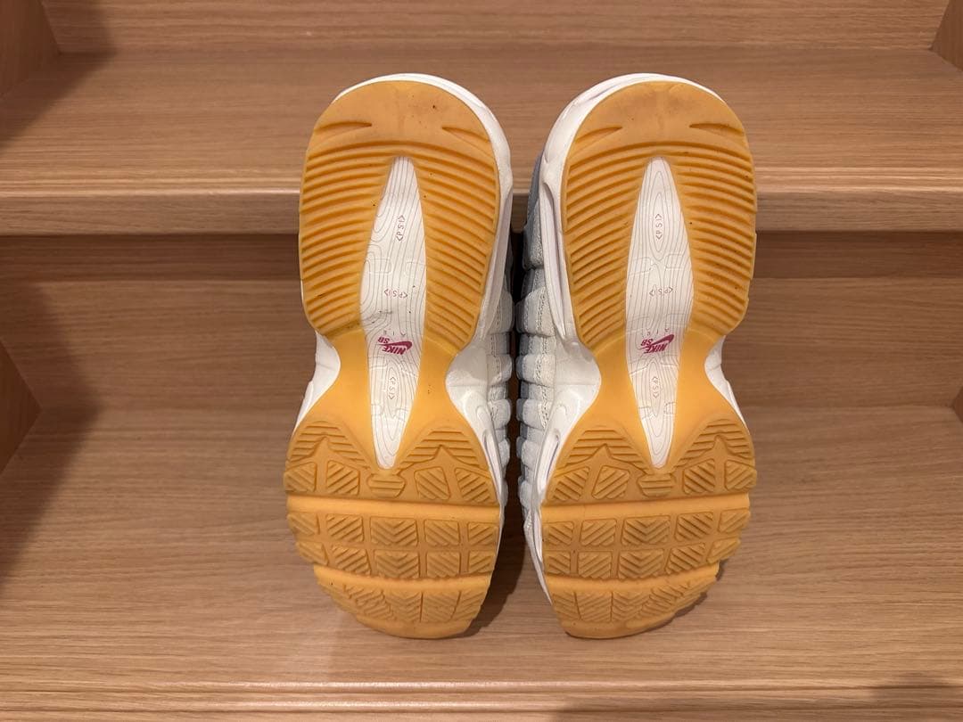 ナイキSB エアマックス95 カクタスフラワー