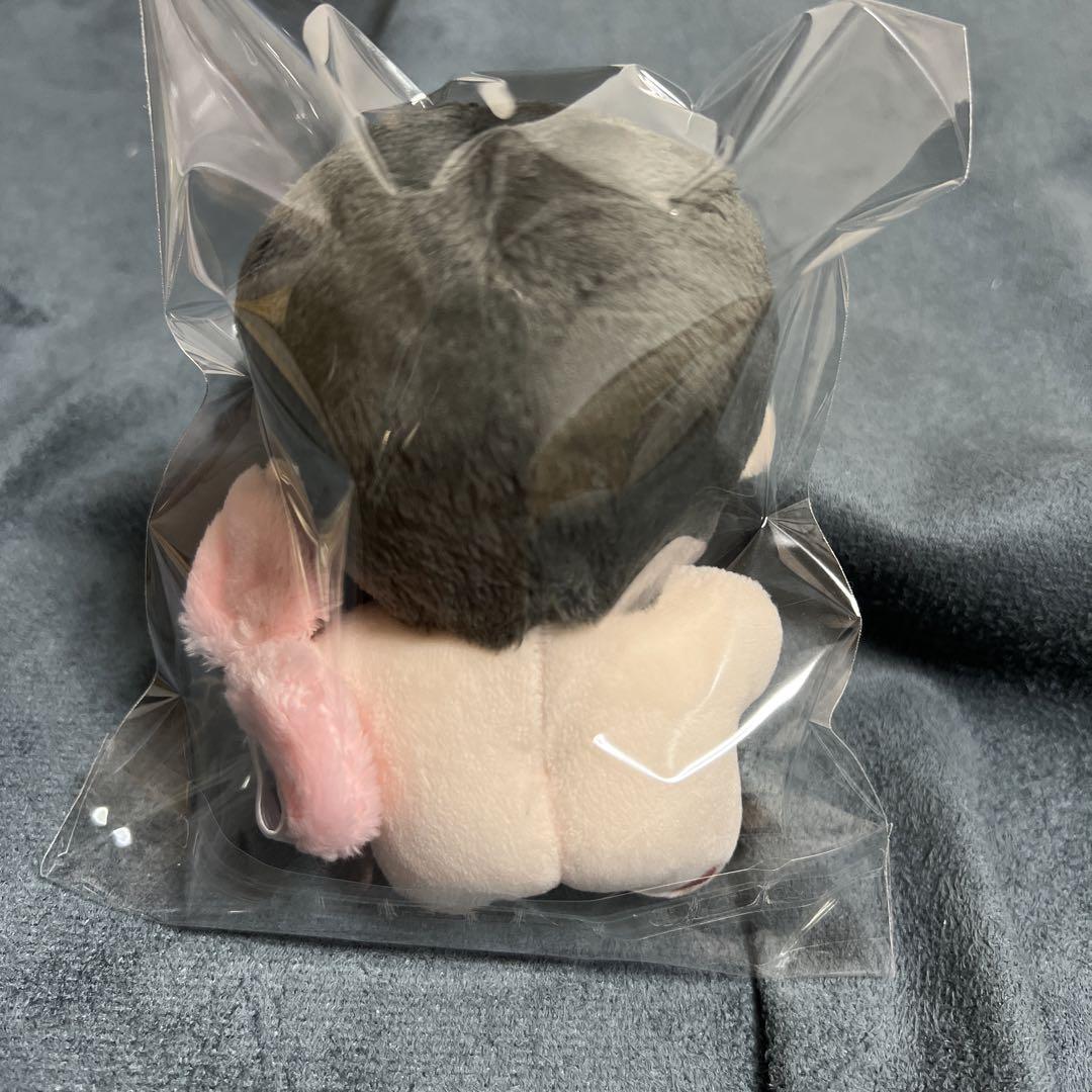 enhypen ソヌ　ぬいぐるみ　10cm 新品　マスター