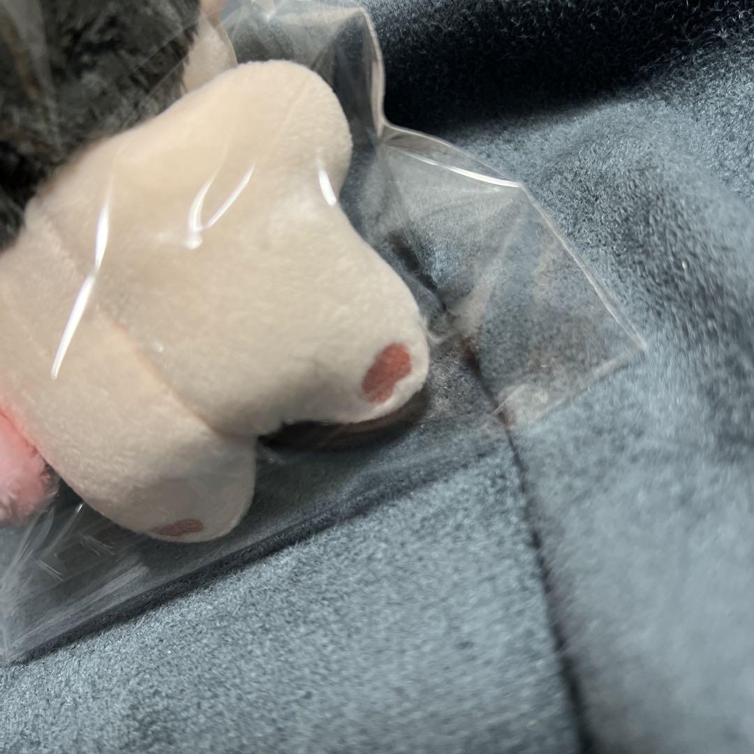 enhypen ソヌ　ぬいぐるみ　10cm 新品　マスター