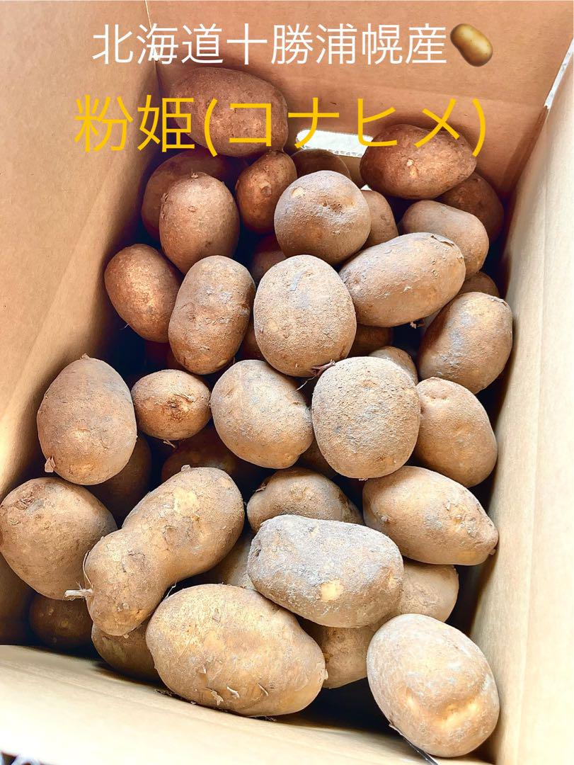 訳あり青トマト　資材込み19キロ 訳あり青トマト 資材込み19キロ - 野菜安い