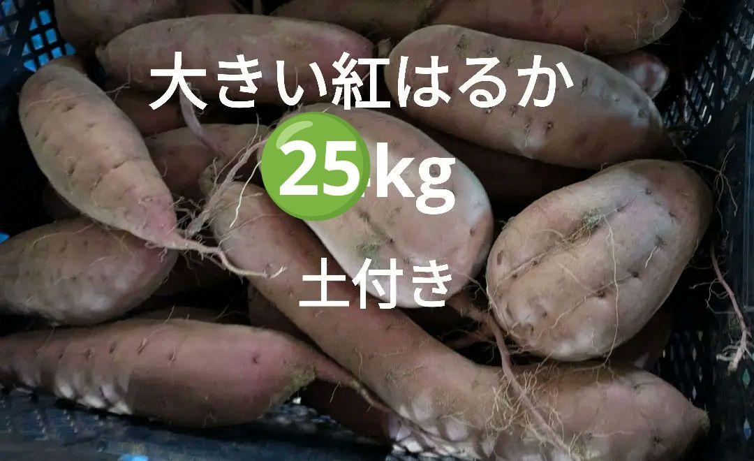 訳あり青トマト　資材込み19キロ 訳あり青トマト 資材込み19キロ