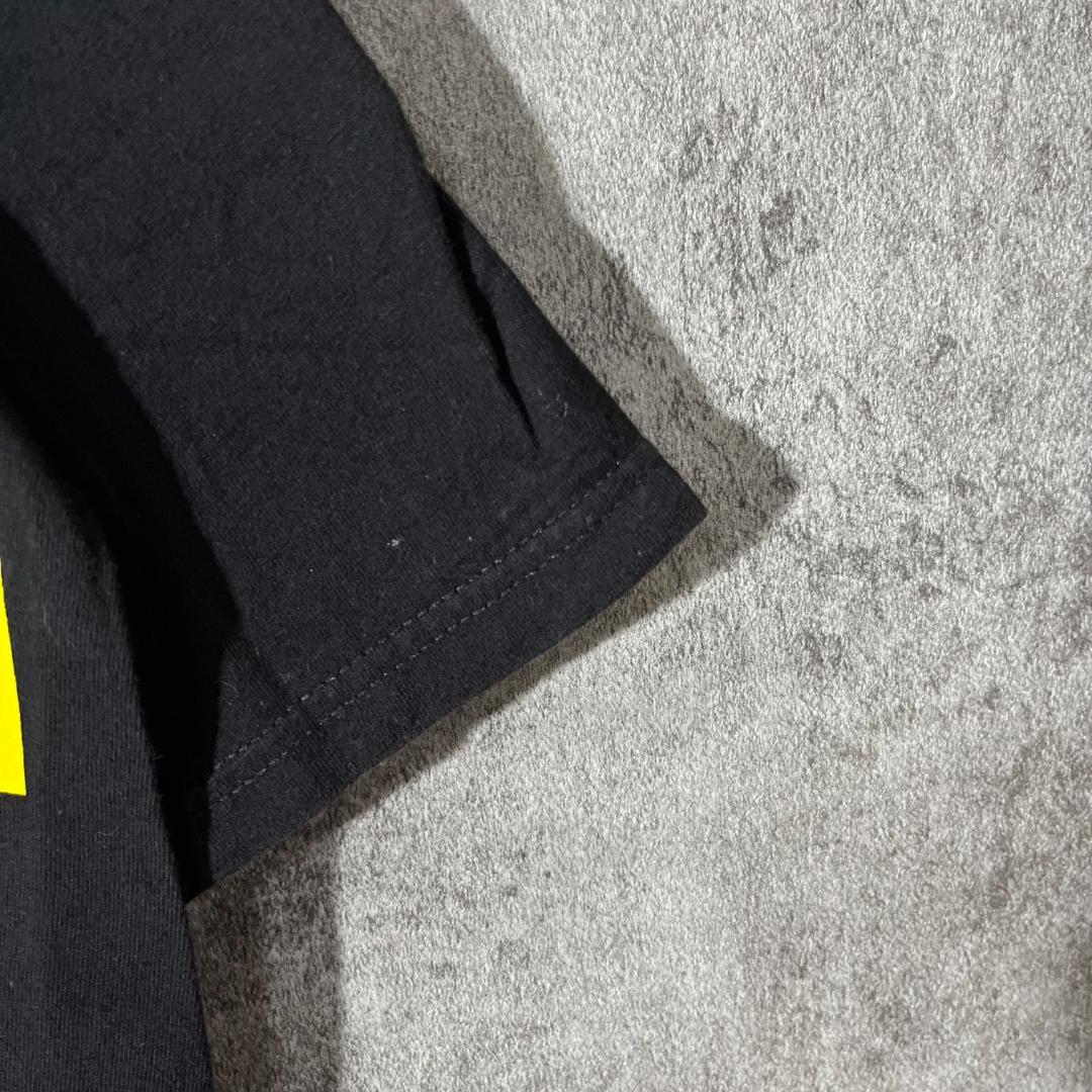 [大人気] ステューシー Tシャツ ビックプリント◎ 恐竜 SSリンク 存在感◎