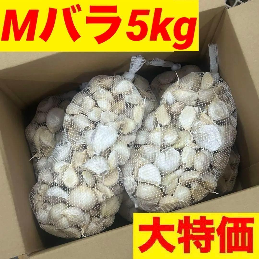 種OK！新物 青森県産 にんにく Mバラ 5kg 福地ホワイト 加工 種 激安