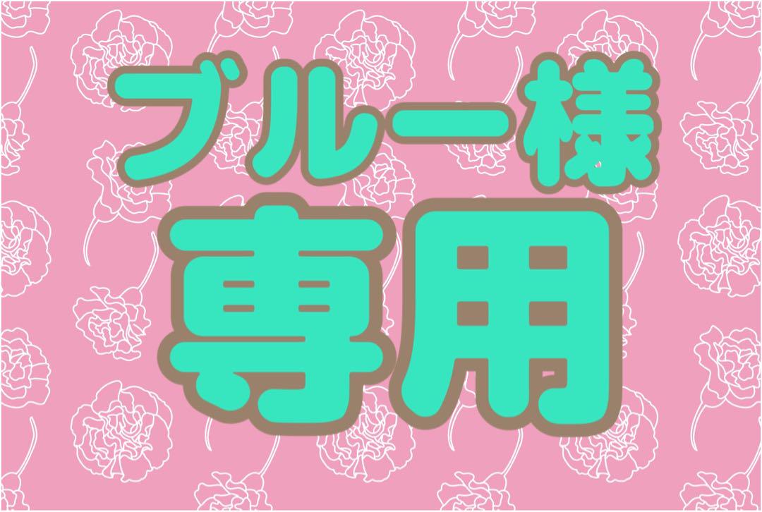 ブルー様専用　おまとめ　ガチャ　2種×2