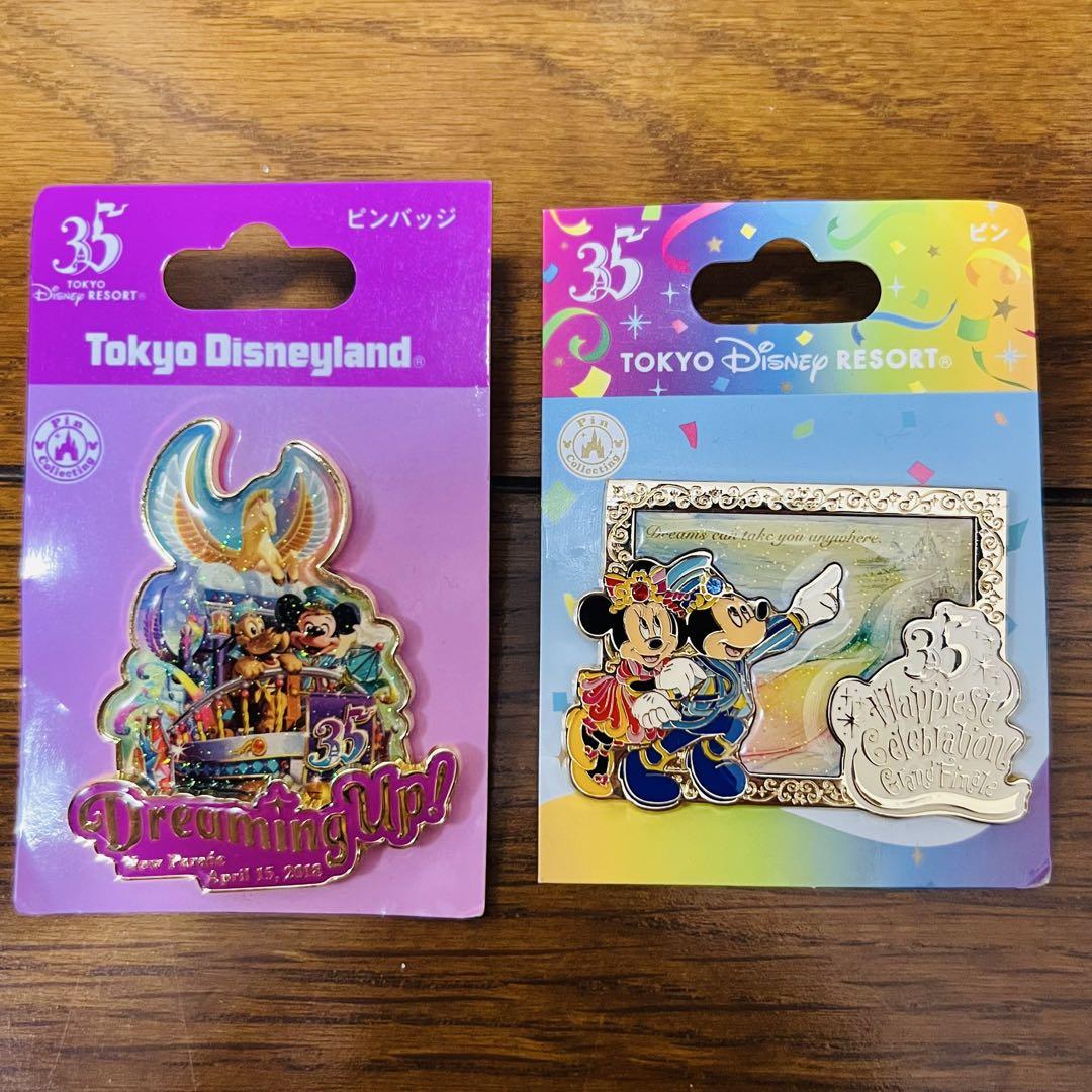 限定セールをすべて 東京ディズニーリゾート ドリーミングアップ ピンバッジ 35周年 ピンズ・ピンバッジ・缶バッジ