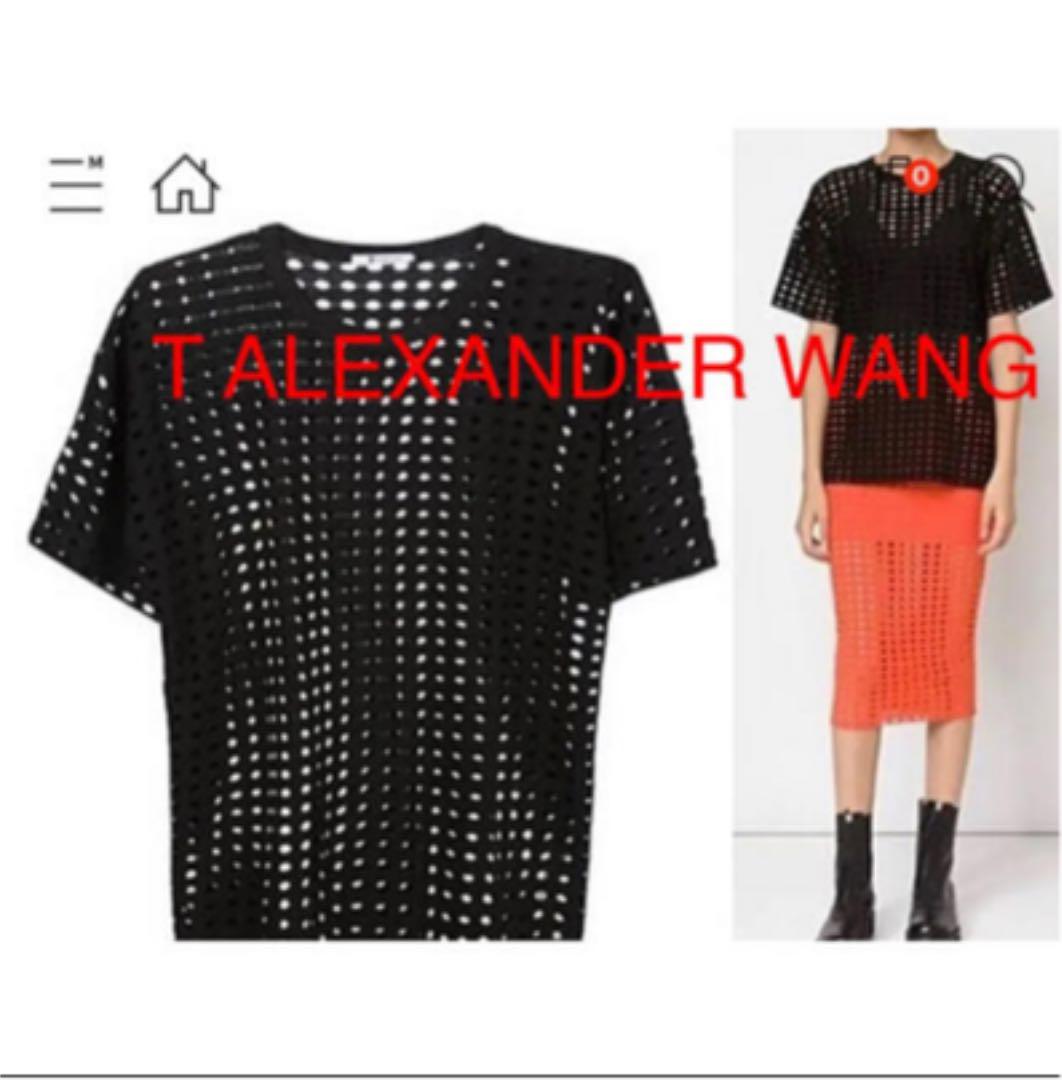 Alexander Tシャツ アレキサンダーワン トップス osZwE-m24923677256 wang メッシュ 高品質新作