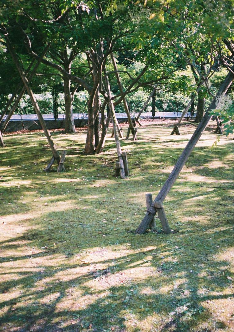 【動作確認・清掃済み＊試写あり】人気！リコーオートハーフSE