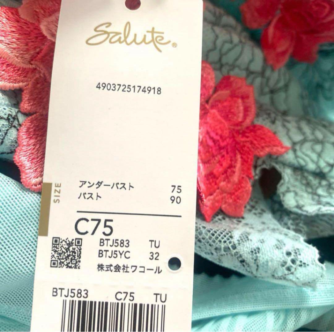 kazemayu24さま専用☆ワコール サルート スリーインワン C75☆83G kazemayu24さま専用☆ワコール サルート スリーインワン C75☆83G