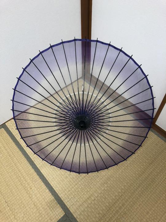 蛇の目傘 番傘 絹 シルク 二段継 和傘 傘 舞踊 大衆演劇 着物 撮影
