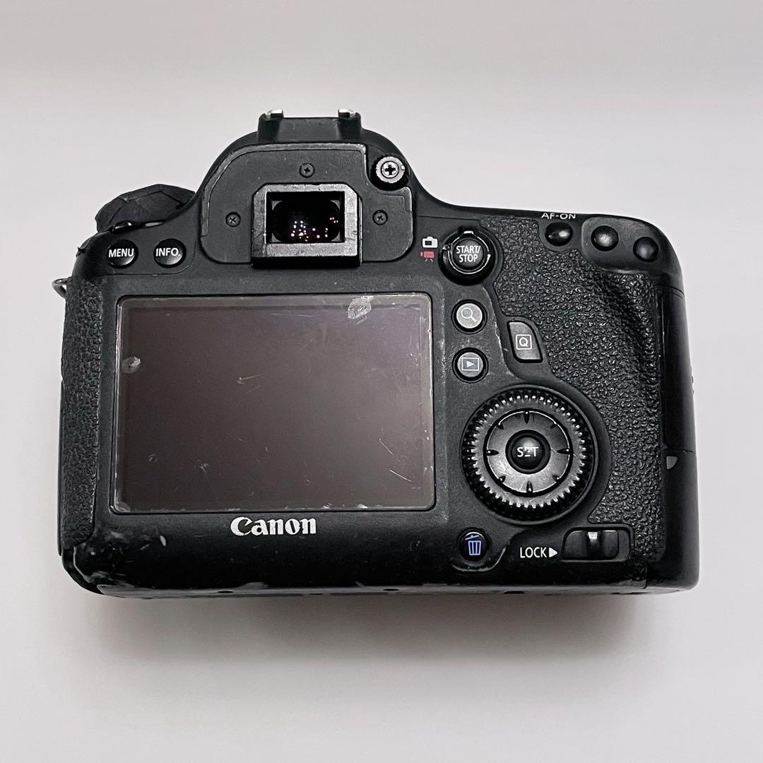6D ボディ
