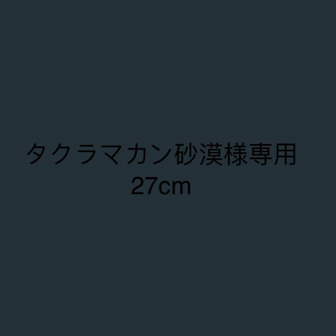 タクラマカン砂漠様専用