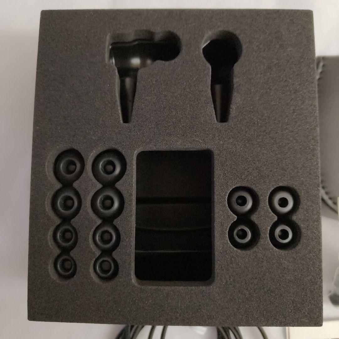 イヤホン JVC CLASS-S WOOD 01 inner HA-FW01