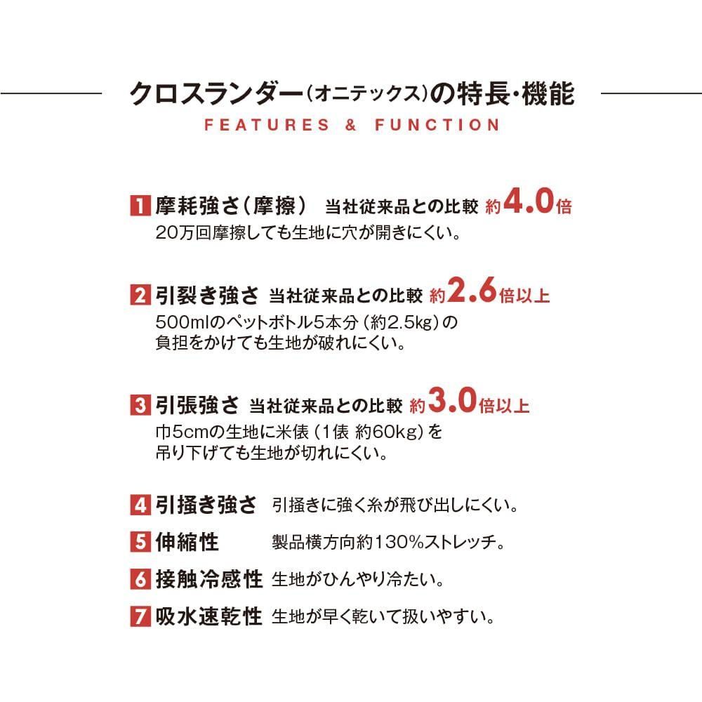 【断捨離】ワークマン オニテックス クロスランダーサロペット ブルーグレー