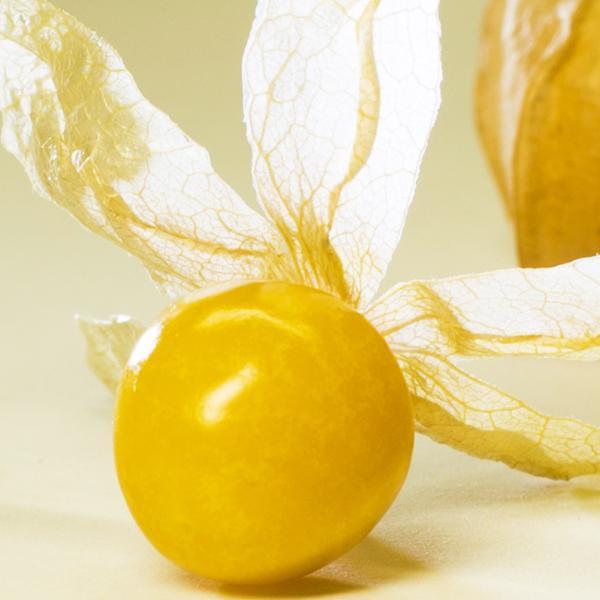 とっても甘い ミニ食用ほおずきスウィートキャンディーの種10粒 メルカリ とっても甘い ミニ食用ほおずきスウィートキャンディーの種10粒 メルカリ