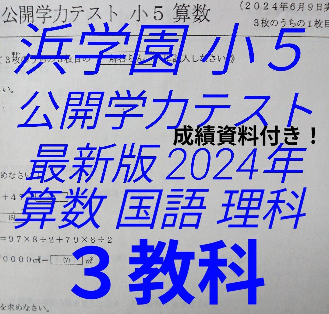 浜学園　小５　公開学力テスト　国語　９年分 浜学園 5年 公開学力テスト 国語 2020年の通販 by shop｜ラクマ