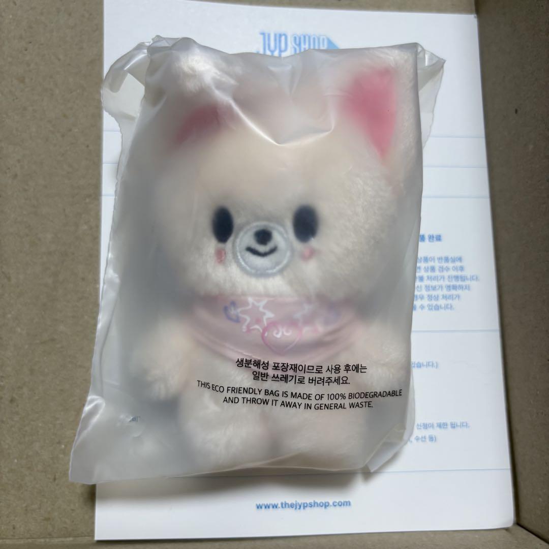 13 アイエン フォクシニー StrayKids スキズ 10cmぬい ペンミ