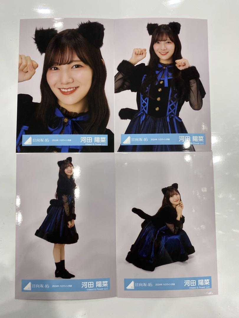 日向坂46 河田陽菜 フルコンプ 122コンプ 生写真 日向坂46 河田陽菜 生写真 コンプ