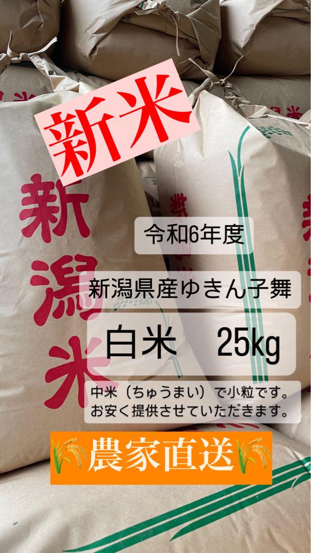新米！令和6年度産 新潟県産ゆきん子舞（中米）　25kg
