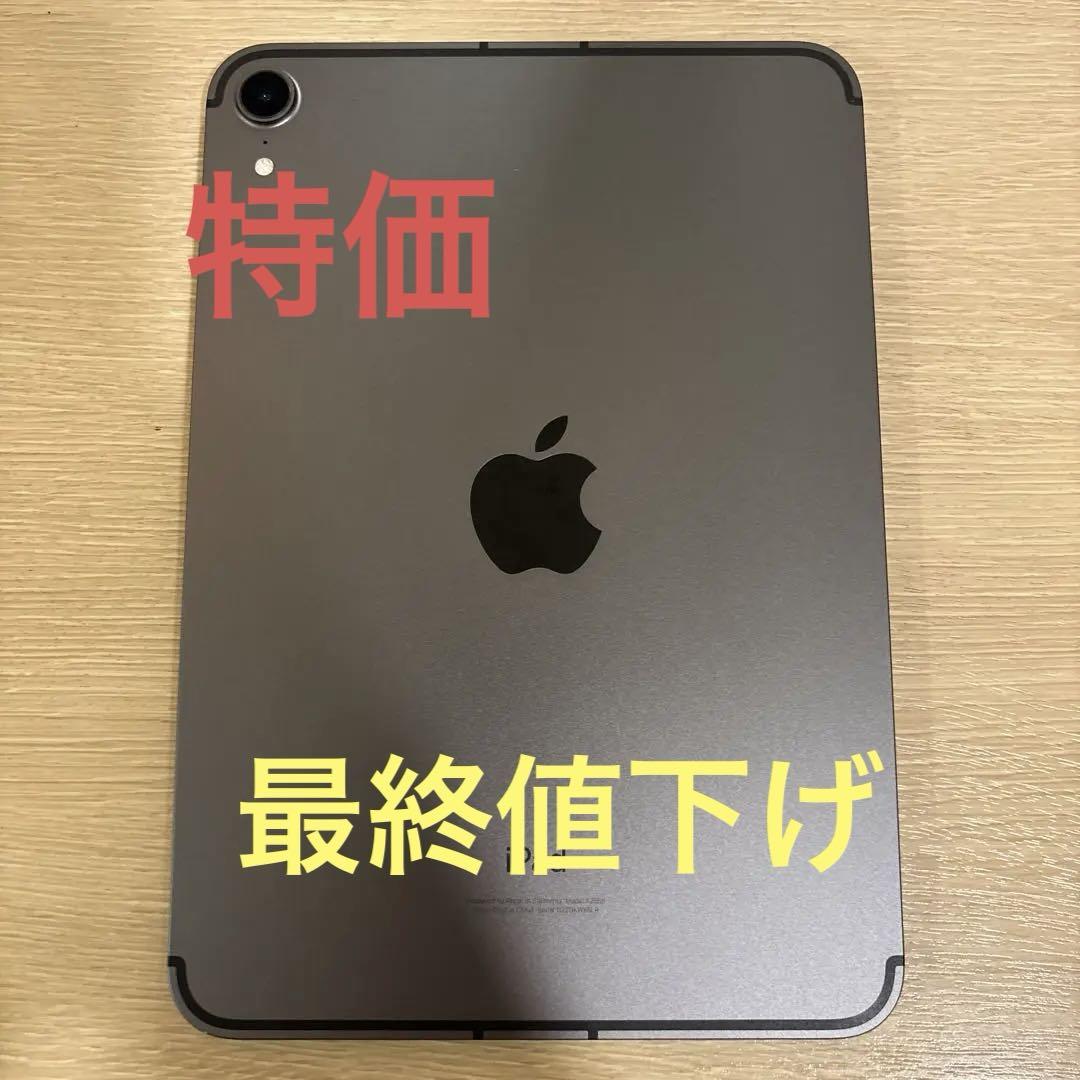 【ジャンク】iPad mini 第6世代　　256gb 本体 スペースグレー