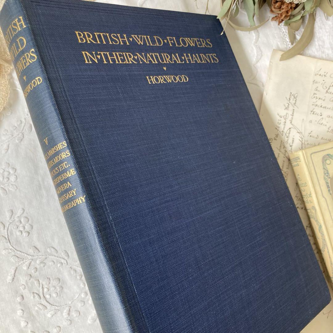 L835 1919年発行 大変希少なイギリスのアンティーク植物図鑑