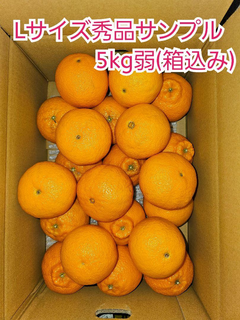 和歌山有田産不知火 秀品 Lサイズ10kg