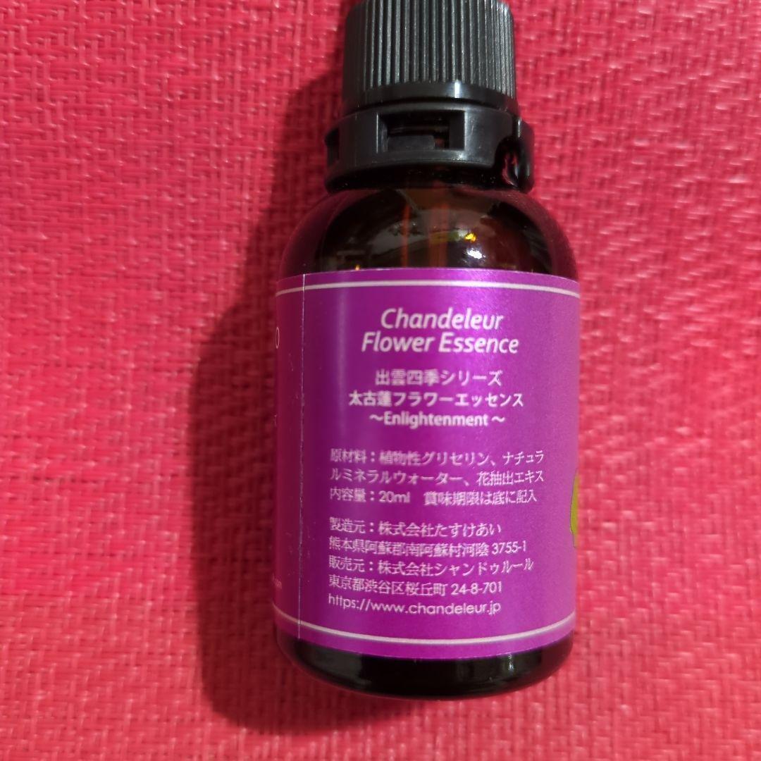 【専用】パパイヤ～『手放し』 フラワーエッセンスのシャンドゥルール 20ml