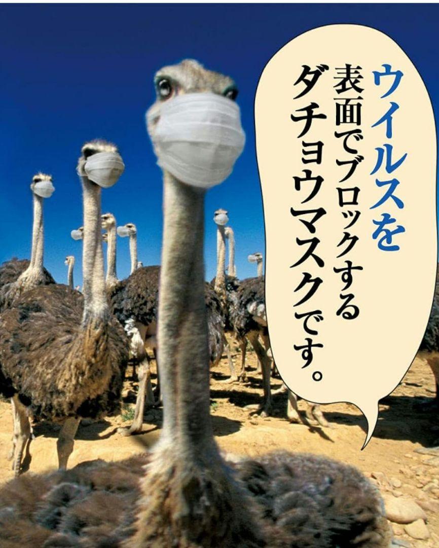 ☆新品・未開封☆ダチョウ抗体マスク　Sサイズ 25枚入り×2袋　オマケ付き