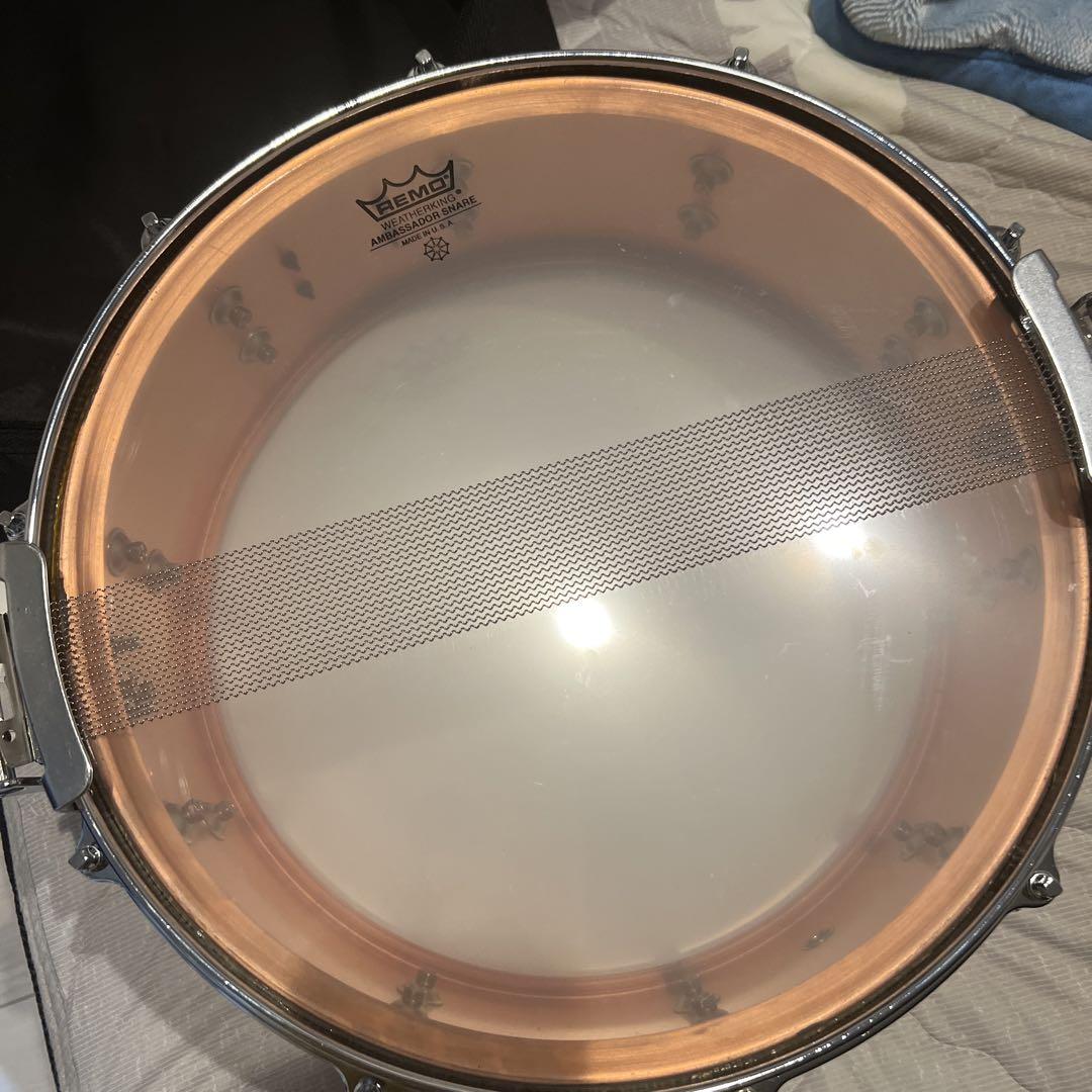 【激レア】YAMAHA 菅沼孝三モデルスネア SD6455KS 画像5