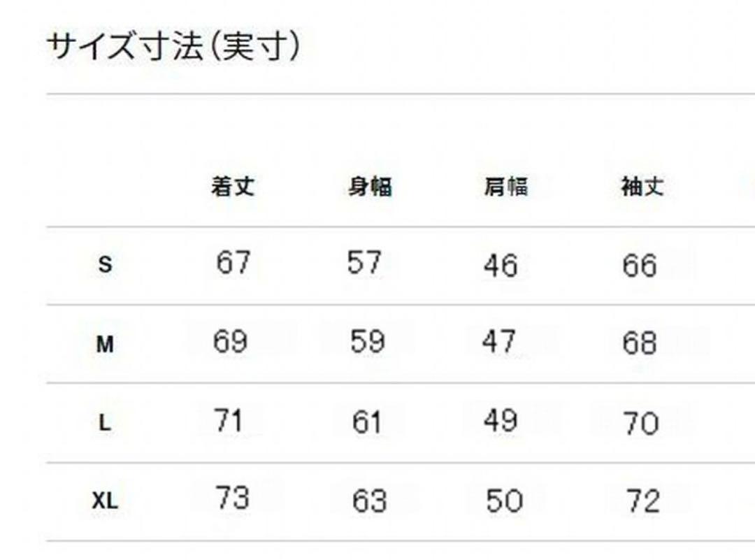 THE NORTH FACE Belayer Parka Lサイズ 2024