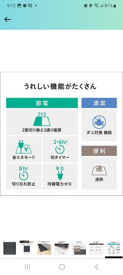 Panasonic DC-2NK GRAY　ホットカーペット2畳