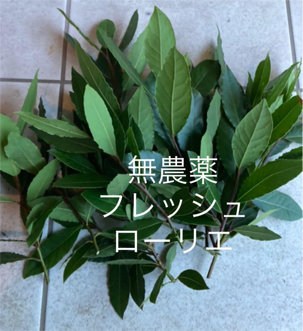 メルカリ 月桂樹 フレッシュ ローリエ 生枝 野菜 450 中古や未使用のフリマ