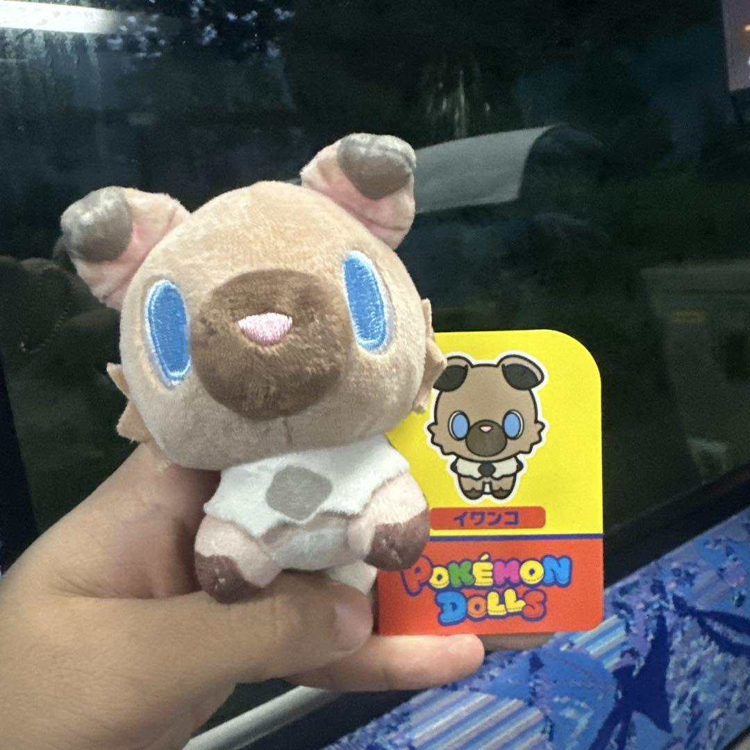 ポケモンドールズ イワンコ もっちりマスコット ぬいぐるみ
