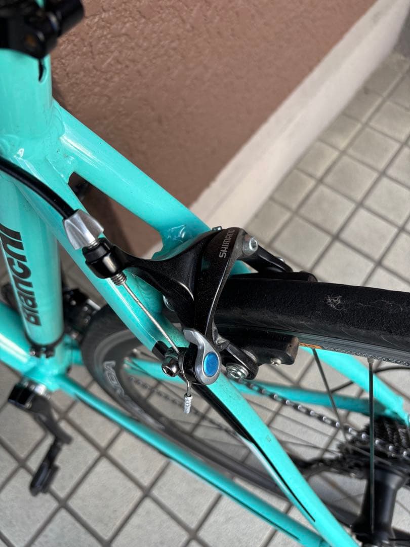 Bianchi ビアニローネ7