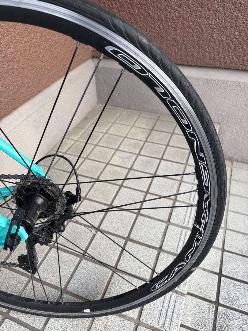 Bianchi ビアニローネ7