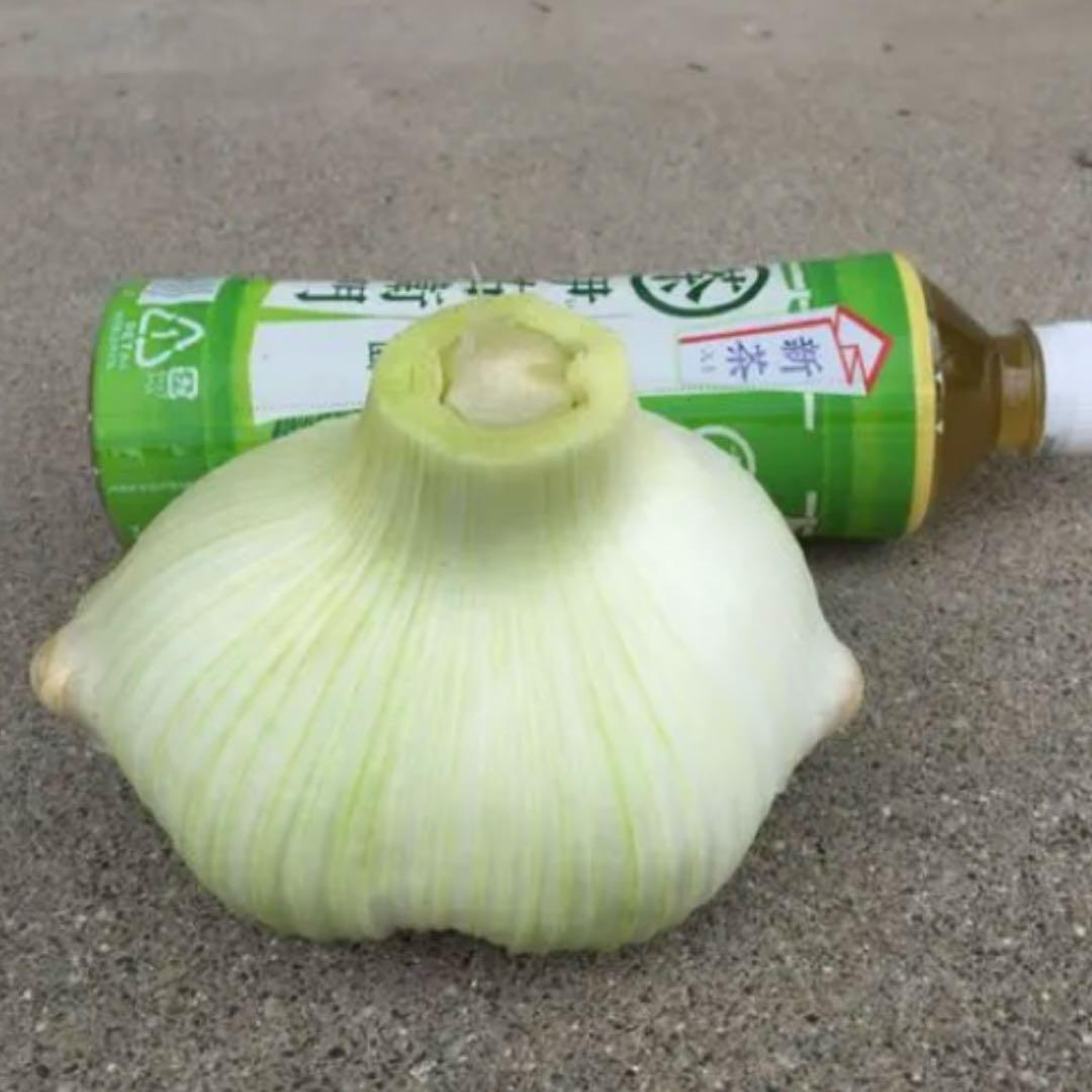 りーりです