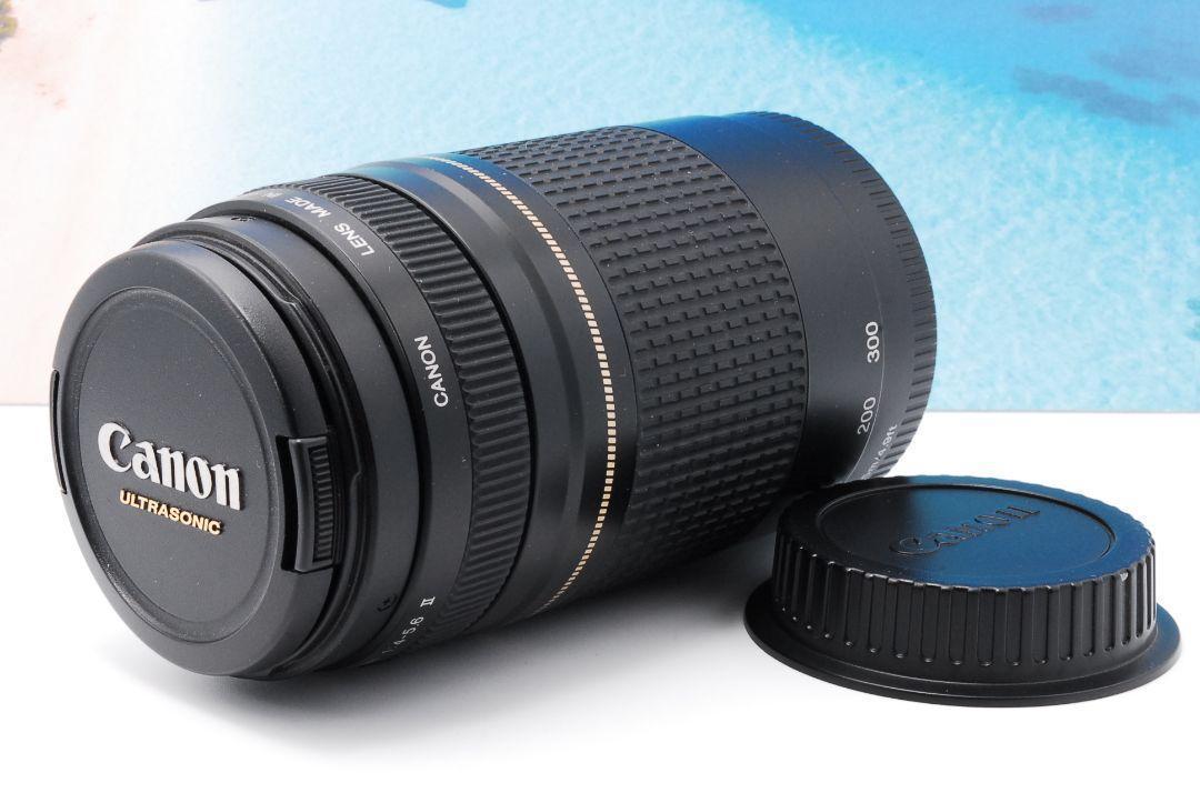 売上実績NO.1 あんこ様専用♥️Canon EF 75-300mm Ⅱ USM♥️超望遠レンズ レンズ(ズーム) - noordrandmotors.co.za 売上実績NO.1 あんこ様専用♥️Canon EF 75-300mm Ⅱ USM♥️超望遠レンズ レンズ(ズーム) - noordrandmotors.co.za