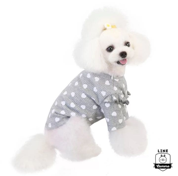 ペット用品犬服 猫服 Sサイズ グレー水玉 Sサイズペット服 メルカリ ペット用品犬服 猫服 Sサイズ グレー水玉 Sサイズペット服 メルカリ