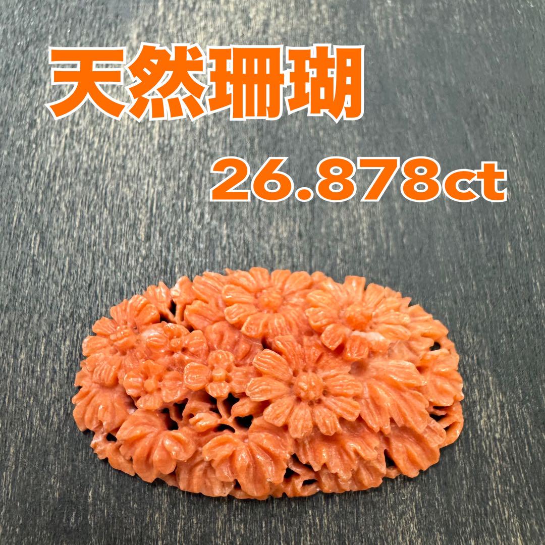 天然さんご　26.878ct ルース　宝石　珊瑚　裸石 ソーティング付