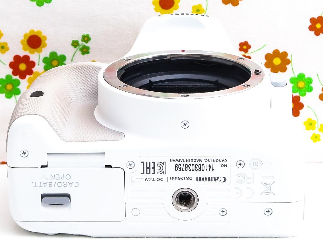 美品 Canon kiss x7☆希少ホワイト☆スマホに転送☆高性能レンズ！