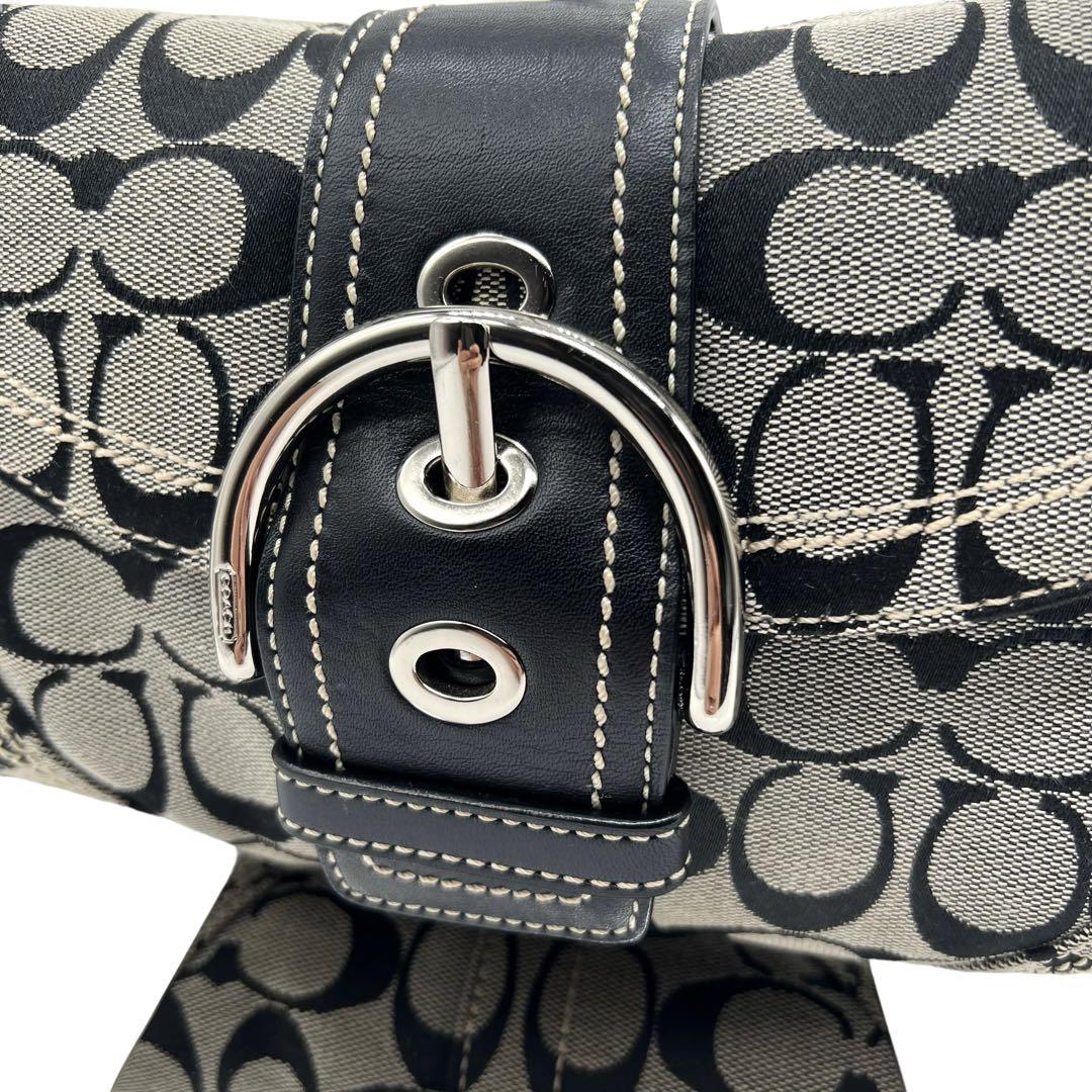 ✨極美品✨COACH コーチ ショルダーバッグ シグネチャー 10602