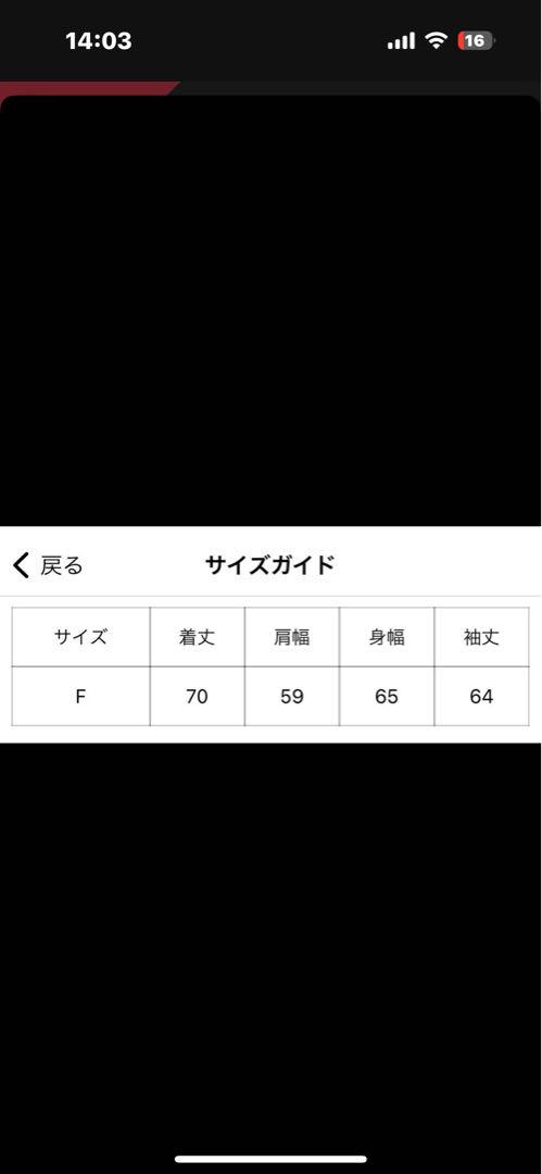 HTHロゴフーディ