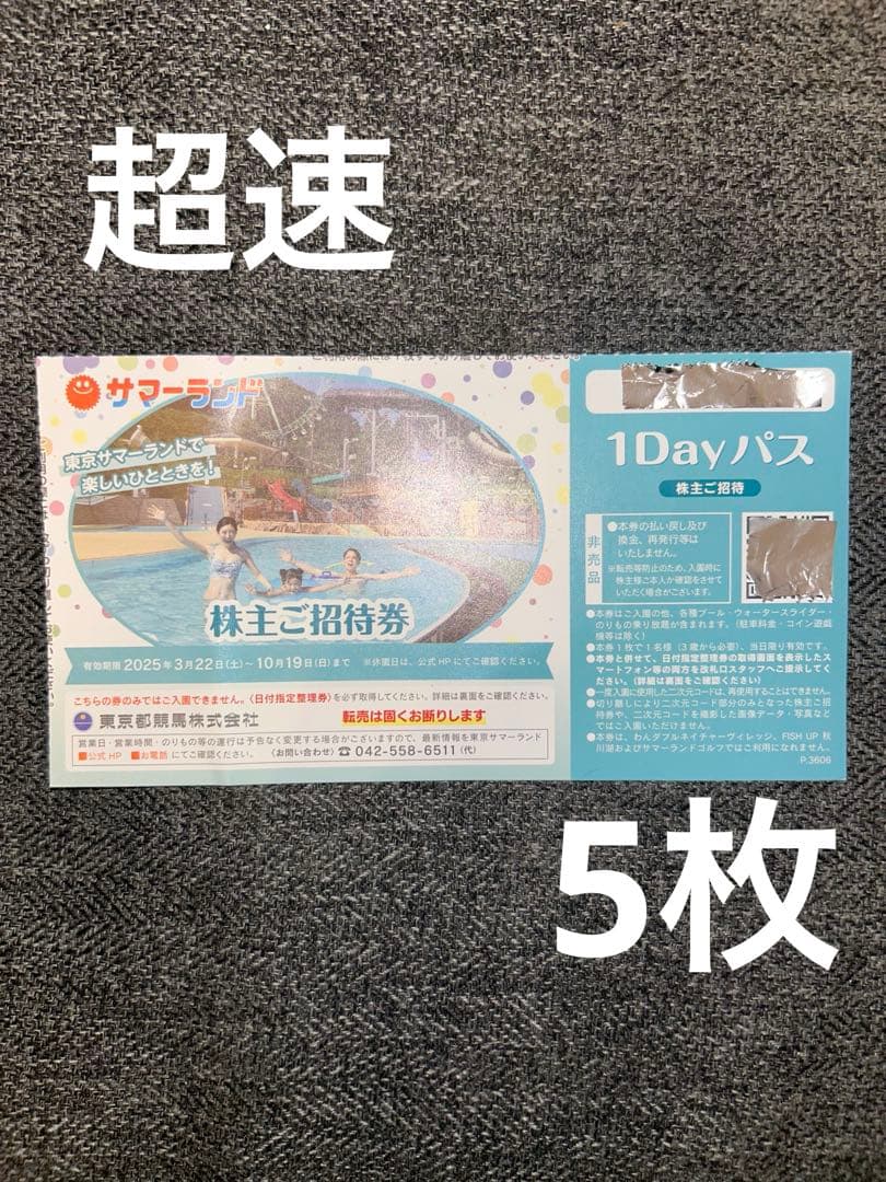 超速　ネコポス　翌日配達　夏サマーランド　プール　チケット　フリーパス　5枚ht