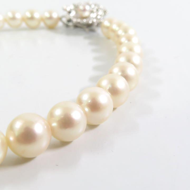 30870円 本日限定 パールネックレス タサキ 田崎真珠 本真珠 SILVER 鑑別鑑定書付き 30870円 本日限定 パールネックレス タサキ 田崎真珠 本真珠 SILVER 鑑別鑑定書付き