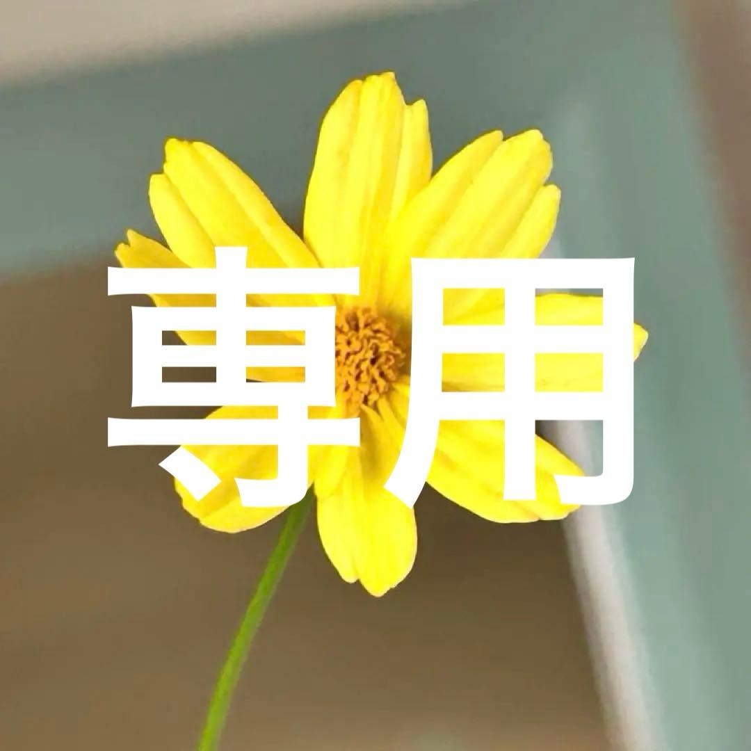 【色変わり】コレオプシス　スイートマーマレード　3号ポット苗《8/18》