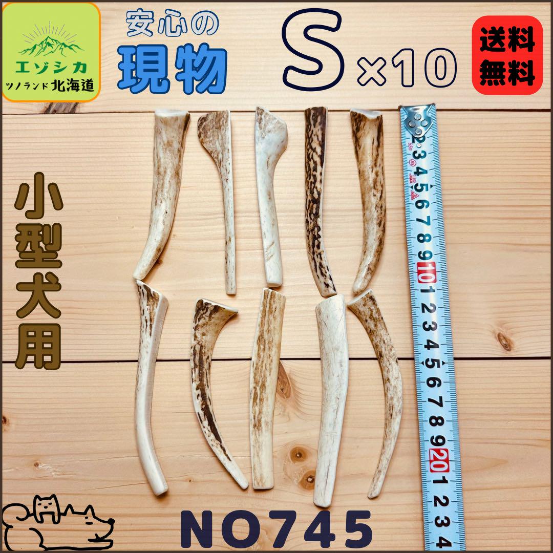 ⭐︎現物⭐︎鹿の角⭐︎S×10本セット⭐︎犬のおもちゃ⭐︎745
