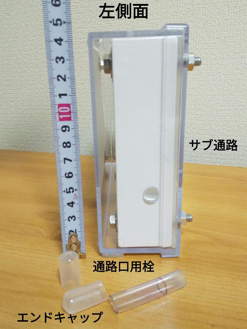 アリ飼育ケース　石膏巣　アリの素観察